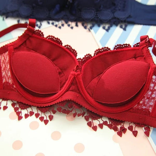 Women's Lace Embroidered Push-Up Underwire Bra and Panty Set