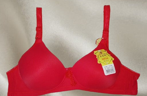 Lightly Padded Everyday Comfort Bra